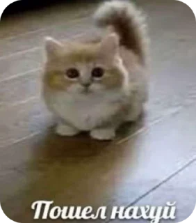 🌟 emoji ну типа привет Telegram sticker 10 of 75