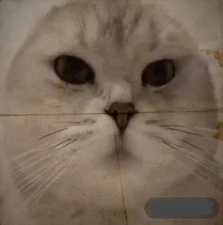🤩 emoji Легендо до Telegram sticker 13 of 88