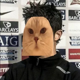 🤩 emoji Легендо до Telegram sticker 20 of 88