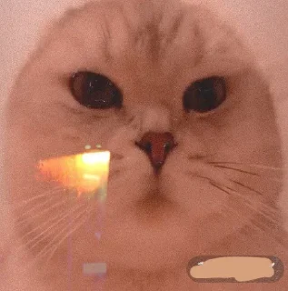 🤩 emoji Легендо до Telegram sticker 11 of 88