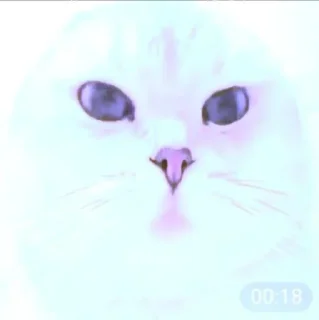 🤩 emoji Легендо до Telegram sticker 5 of 88
