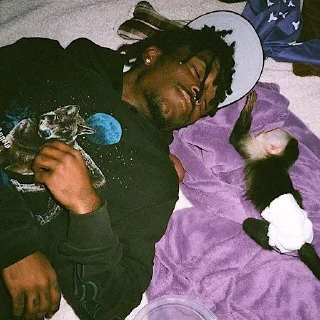 😴 emoji lil uzi veeeeeert @xarteffer Telegram sticker 20 of 98