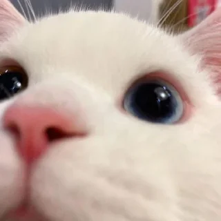 🙂 emoji стикеры от не шалава Telegram sticker 6 of 60