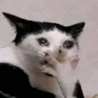 🙂 emoji стикеры от не шалава Telegram sticker 10 of 60