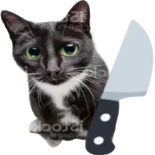 🔪 emoji 👇 ЖМИ СЮДА 👉 @axa_xa_xax_bot Telegram sticker 16 of 26