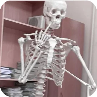 Sticker from Cool skeletons
