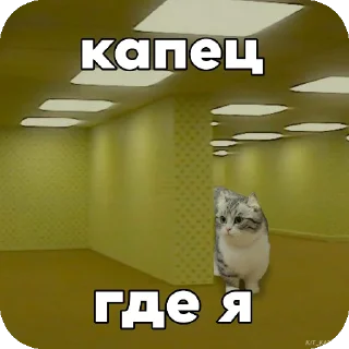 🐦 emoji Комару :: @Chtoza_OX Telegram sticker 8 of 14