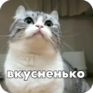 🤤 emoji Комару :: @Chtoza_OX Telegram sticker 7 of 14