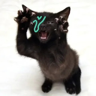 🪁 emoji nightmare cat @undertailAUU Telegram sticker 23 of 37