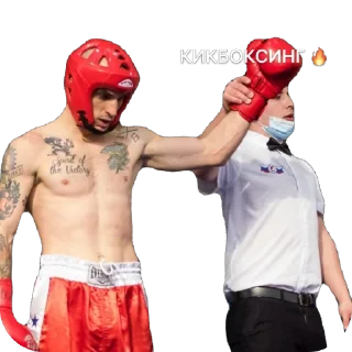 🔥 emoji СОКОЛ 🦅 Telegram sticker 3 of 29
