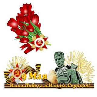 🎖 emoji День Победы Telegram sticker 22 of 120