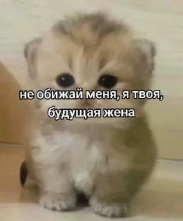 🌟 emoji на случай важных переговоров Telegram sticker 22 of 77