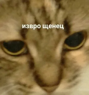 🌟 emoji на случай важных переговоров Telegram sticker 15 of 77