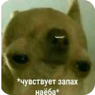 🥲 emoji Катя и Друзьяшки Telegram sticker 23 of 83