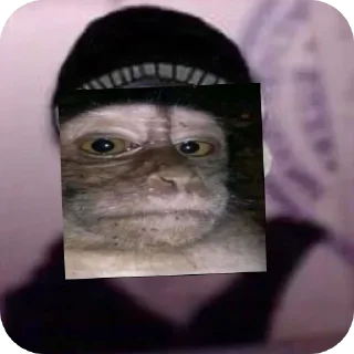 🫥 emoji Артем и Федор пиздатые челы, не сомневайтесь Telegram sticker 18 of 38