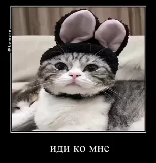 🌟 emoji комару и банда😼 Telegram sticker 7 of 50