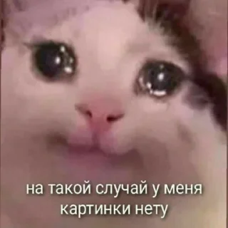 🙃 emoji Идите нахуй Telegram sticker 16 of 51