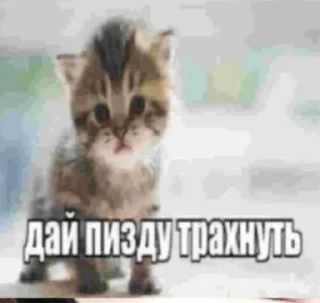Sticker from нахуй идите