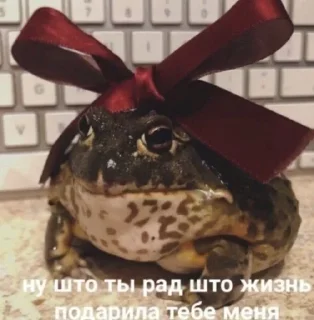 🥰 emoji жабья нора. Telegram sticker 17 of 50