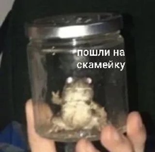 🧐 emoji жабья нора. Telegram sticker 8 of 50