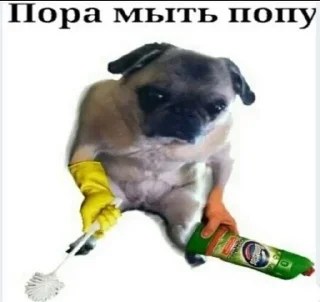 😮 emoji Хуйня Telegram sticker 10 of 70