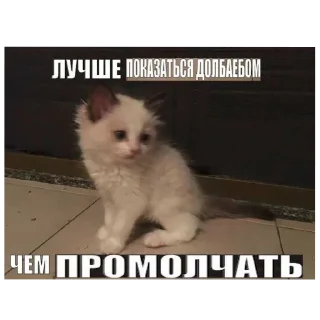🐱 emoji На все случаи жизни Telegram sticker 11 of 120