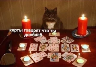 🃏 emoji я добрая Telegram sticker 21 of 59