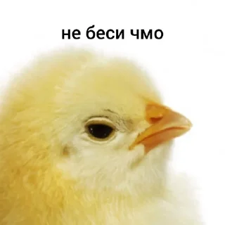 😡 emoji я добрая Telegram sticker 19 of 59