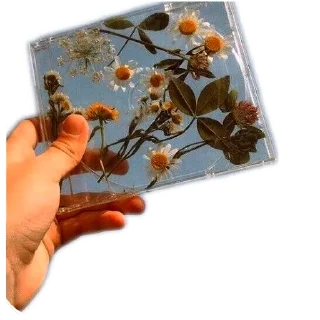 ✋ emoji Квадробика Telegram sticker 8 of 9