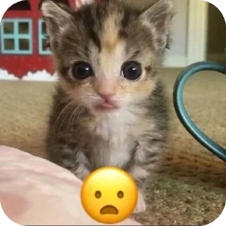 😦 emoji Мэн Telegram sticker 15 of 34