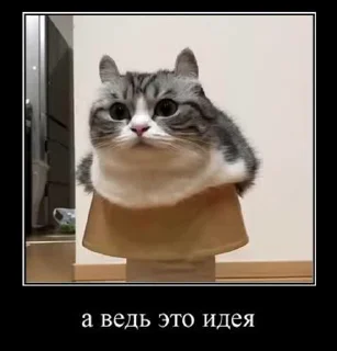 🤔 emoji Гифки с Комару Telegram sticker 15 of 50