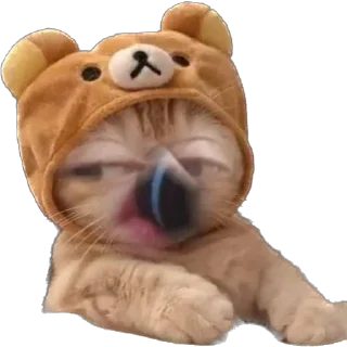 🐻 emoji А Telegram sticker 14 of 15