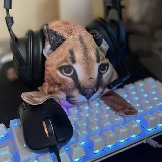 ⌨️ emoji Стикеры @bloptop Telegram sticker 22 of 32
