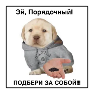 😡 emoji БУРЯТСКИЙ АНДЕГРАУНД Telegram sticker 15 of 31