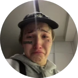 😭 emoji kanonronetta @vilka_vkilka Telegram sticker 8 of 50