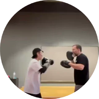 🥊 emoji kanonronetta2.0 @vilka_vkilka Telegram sticker 24 of 50