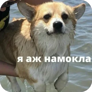 😛 emoji тгк: дикая гиена Telegram sticker 18 of 120