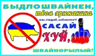 Sticker from Арсенал против хохлов