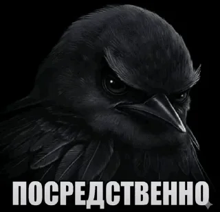 🌟 emoji Вряд ли @flotikpon4ik Telegram sticker 23 of 53