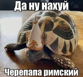 🌟 emoji Смерть в нищете Telegram sticker 16 of 81