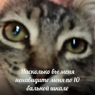 🥹 emoji стиеры от евульки феликси Telegram sticker 8 of 20