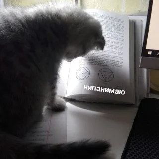 😡 emoji стиеры от евульки феликси Telegram sticker 5 of 20