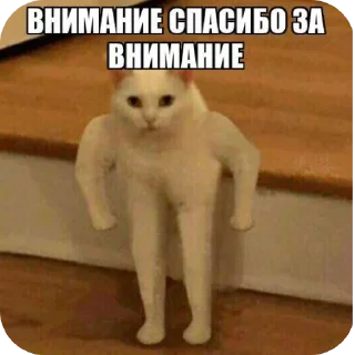 🐱 emoji КоТиКи и не только от @ShisunShen Telegram sticker 8 of 52