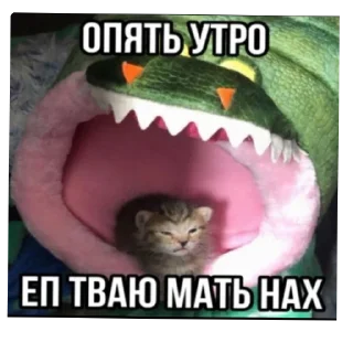 🐱 emoji КоТиКи и не только от @ShisunShen Telegram sticker 20 of 52