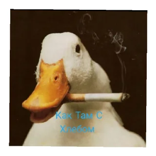 Sticker from Гуси топчик