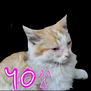 Sticker from Япииии