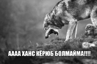 👺 emoji вк @karachmemes Telegram sticker 9 of 55