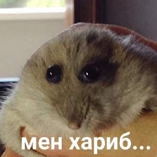 😰 emoji вк @karachmemes Telegram sticker 16 of 55