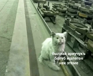 ☹️ emoji вк @karachmemes Telegram sticker 6 of 55