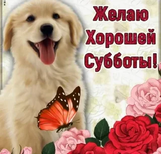 🌟 emoji Открытки Telegram sticker 22 of 44